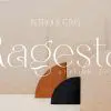 Ragesta | Modern Stylish