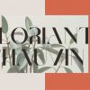 Brescia | Modern Serif - Image 3