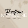 Freeflow Monoline Script - Image 5