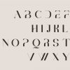 Brescia | Modern Serif - Image 5