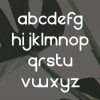 Quincy | Elegant Font - Image 7