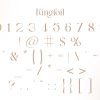 Kingfoil | Modern Stylish - Image 10