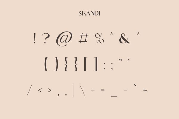 Skandi | Modern Sans Serif - Image 10