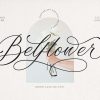 Belflower Script | Modern Signature