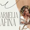 Carola | Modern Serif - Image 8