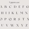Hartlane | Modern Serif - Image 8