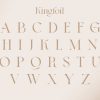 Kingfoil | Modern Stylish - Image 8