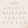 Kingfoil | Modern Stylish - Image 9
