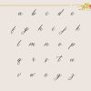 Belflower Script | Modern Signature - Image 9