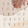 Carola | Modern Serif - Image 9