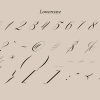 Angeline | Modern Calligraphy - Image 3