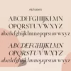 Aesthetic theory | Classic Serif - Image 9