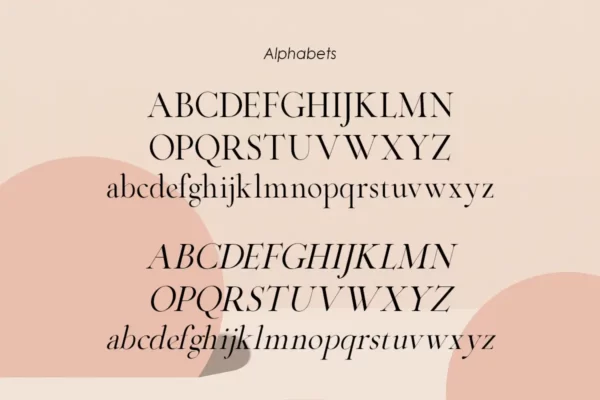 Aesthetic theory | Classic Serif - Image 9