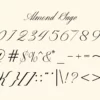 Almonds Sage Handwriting Script - Image 2
