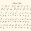 Almonds Sage Handwriting Script - Image 10