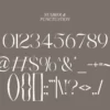 Ambrosia | Modern Serif - Image 2