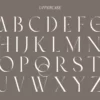 Ambrosia | Modern Serif - Image 10
