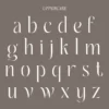 Ambrosia | Modern Serif - Image 11