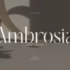 Ambrosia | Modern Serif