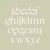 Matcha Creamy | Modern Classic - Image 11