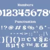 Summer Bloom | Retro font - Image 2